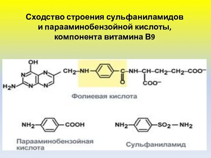 Сходство строения сульфаниламидов и парааминобензойной кислоты, компонента витамина В9