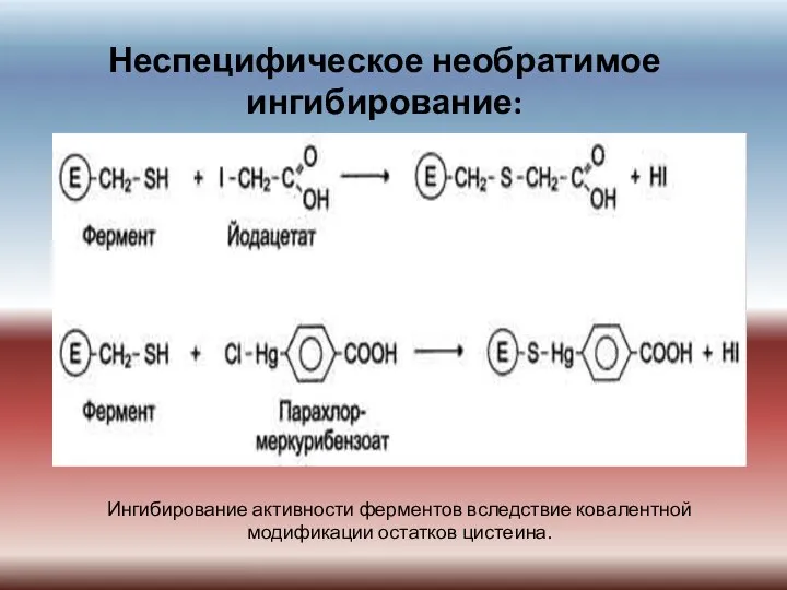 Неспецифическое необратимое ингибирование: Ингибирование активности ферментов вследствие ковалентной модификации остатков цистеина.