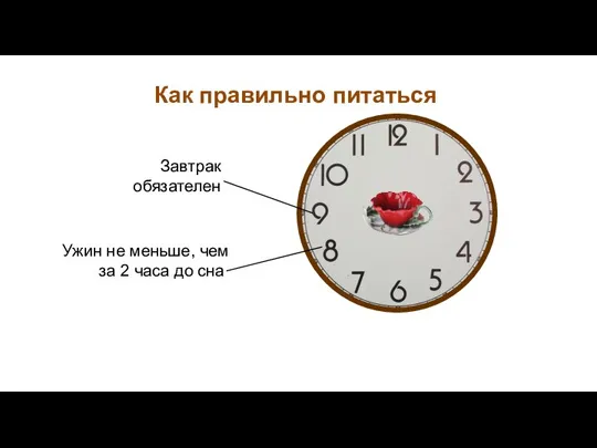 Как правильно питаться Завтрак обязателен Ужин не меньше, чем за 2 часа до сна