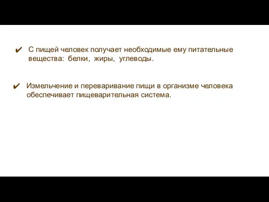 С пищей человек получает необходимые ему питательные вещества: белки, жиры, углеводы. Измельчение