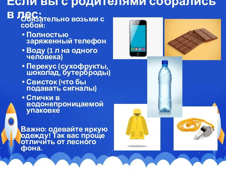 Если вы с родителями собрались в лес: Обязательно возьми с собой: Полностью