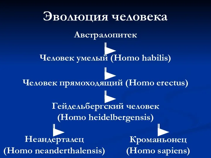 Эволюция человека Австралопитек Неандерталец (Homo neanderthalensis) Человек прямоходящий (Homo erectus) Кроманьонец (Homo