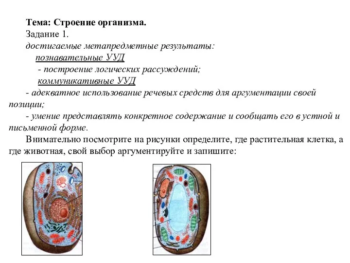 Тема: Строение организма. Задание 1. достигаемые метапредметные результаты: познавательные УУД - построение