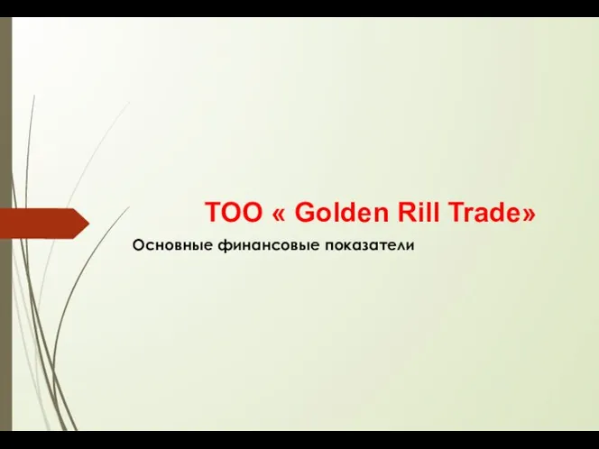 ТОО « Golden Rill Trade» Основные финансовые показатели