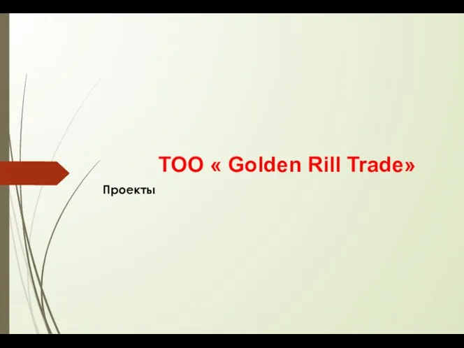 ТОО « Golden Rill Trade» Проекты