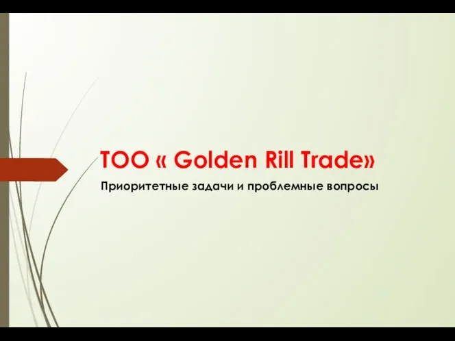 ТОО « Golden Rill Trade» Приоритетные задачи и проблемные вопросы