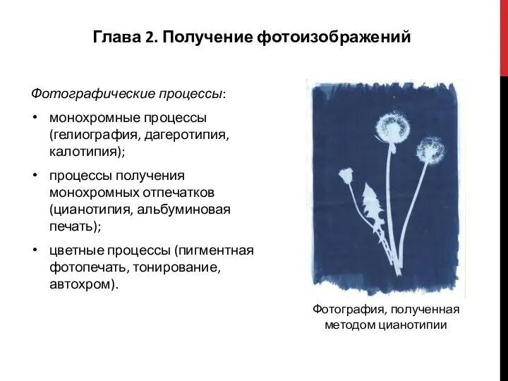 Глава 2. Получение фотоизображений Фотографические процессы: монохромные процессы (гелиография, дагеротипия, калотипия); процессы