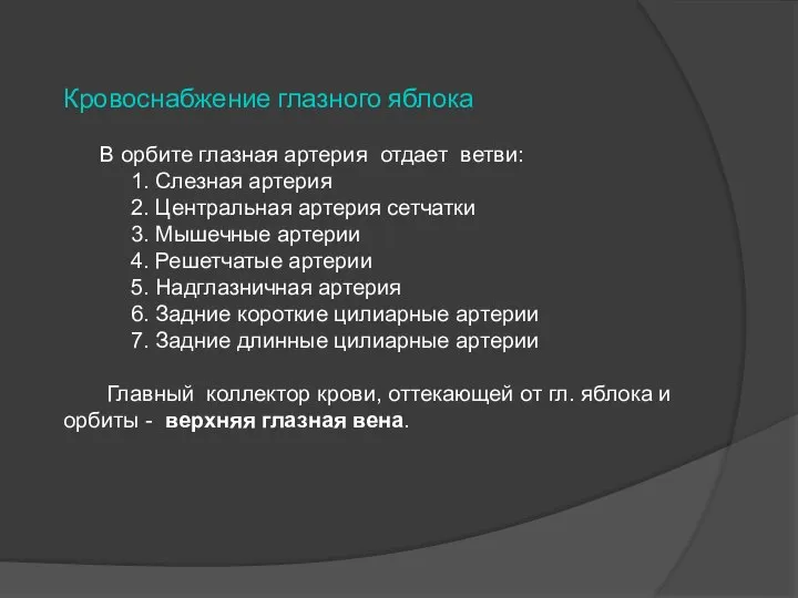 Кровоснабжение глазного яблока В орбите глазная артерия отдает ветви: 1. Слезная артерия