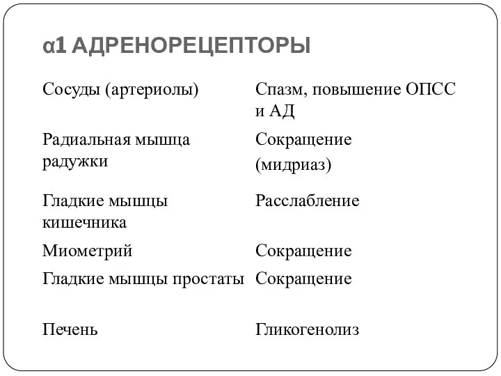 α1 АДРЕНОРЕЦЕПТОРЫ