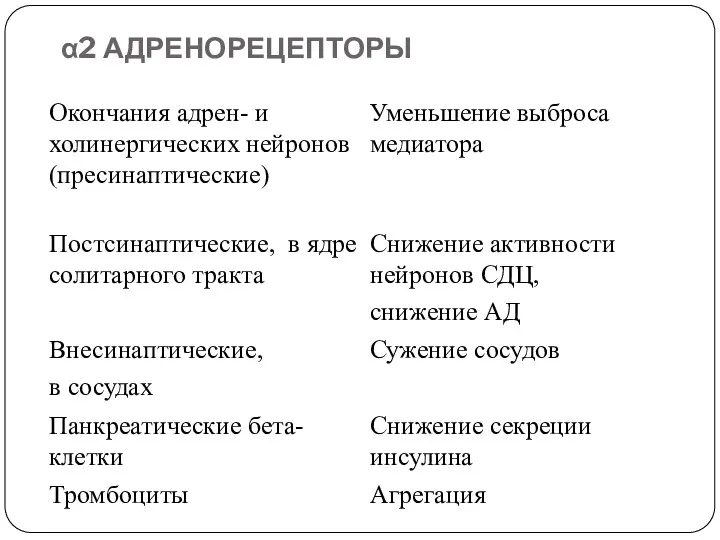 α2 АДРЕНОРЕЦЕПТОРЫ