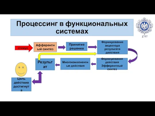 Процессинг в функциональных системах стимул Афферентный синтез Принятие решения Формирование акцептора результата