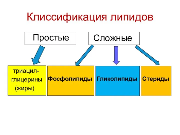 Клиссификация липидов триацил- глицерины (жиры) Фосфолипиды Гликолипиды Стериды Сложные Простые