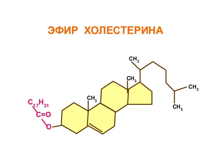 СН3 СН3 СН3 СН3 СН3 С17Н31 С=О О ЭФИР ХОЛЕСТЕРИНА