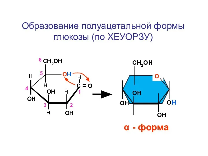 С = О СН2ОН ОН Н ОН ОН ОН О СН2ОН ОН