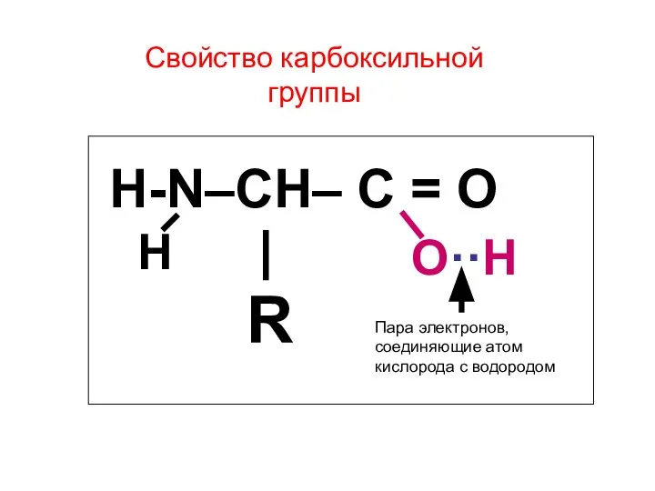 Свойство карбоксильной группы H-N–CH– C = O | R О··Н Н Пара