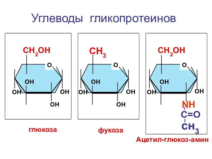 О СН3 ОН ОН ОН ОН О СН2ОН ОН ОН ОН ОН