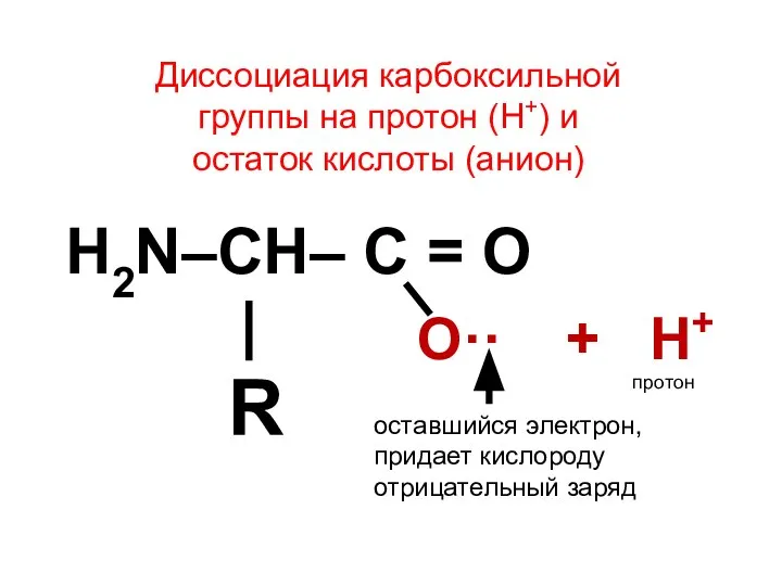Диссоциация карбоксильной группы на протон (Н+) и остаток кислоты (анион) H2N–CH– C