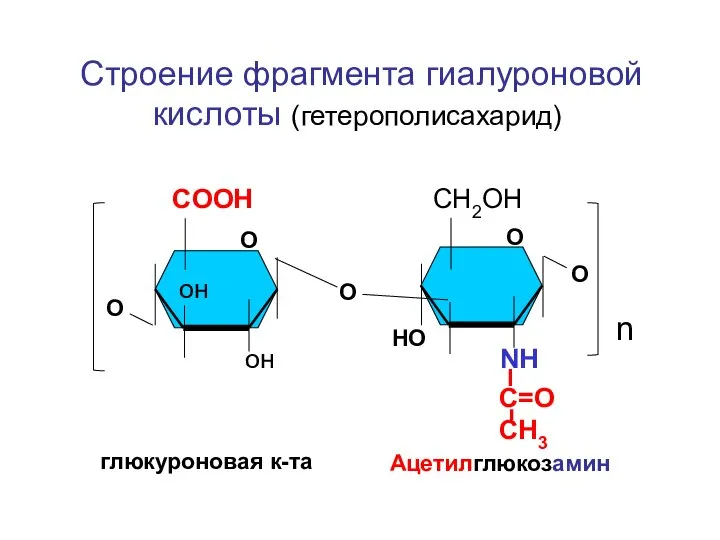 COOH СН2ОН он он NH n Строение фрагмента гиалуроновой кислоты (гетерополисахарид) О