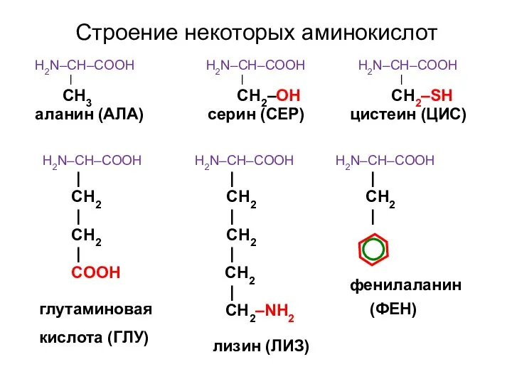 Строение некоторых аминокислот H2N–CH–COOH H2N–CH–COOH H2N–CH–COOH | | | СН3 СН2–ОН СН2–SН