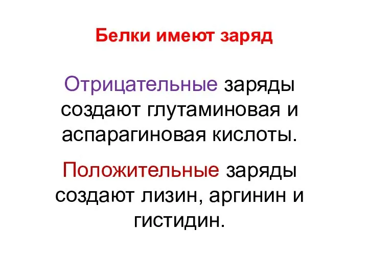 Отрицательные заряды создают глутаминовая и аспарагиновая кислоты. Положительные заряды создают лизин, аргинин