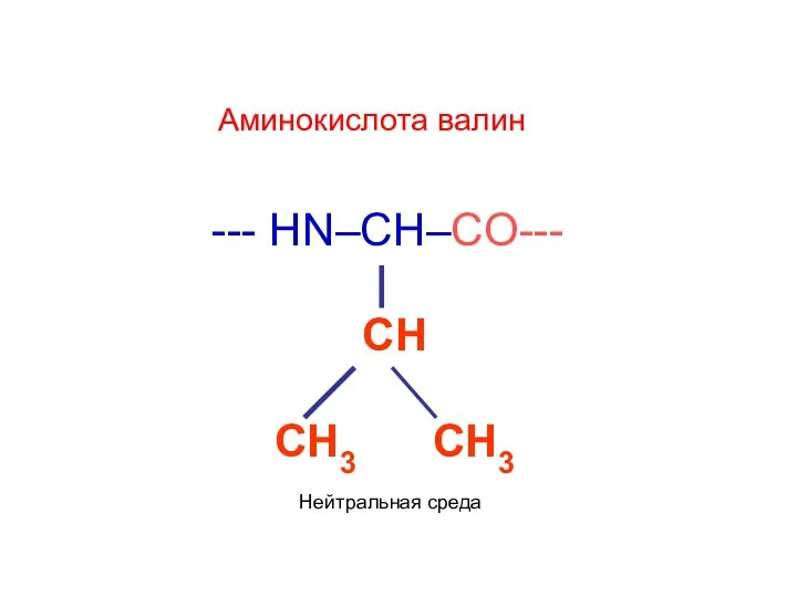 --- HN–CH–CO--- | CH CH3 CH3 Аминокислота валин Нейтральная среда