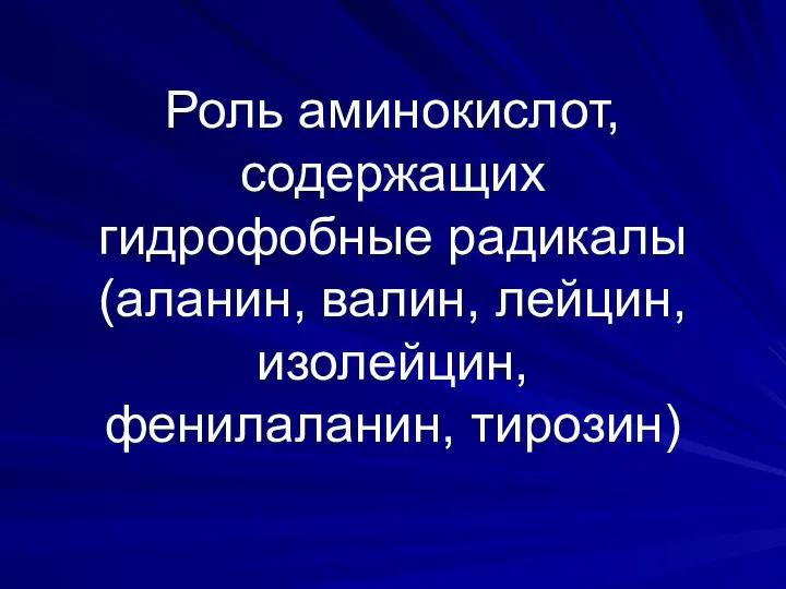 Роль аминокислот, содержащих гидрофобные радикалы (аланин, валин, лейцин, изолейцин, фенилаланин, тирозин)