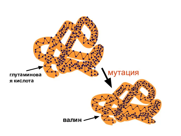 глутаминовая кислота валин мутация