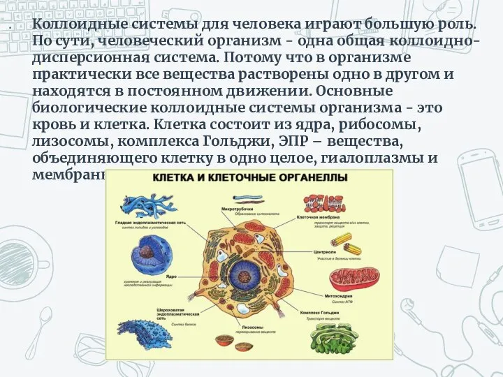 Коллоидные системы для человека играют большую роль. По сути, человеческий организм -