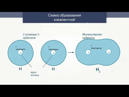 Схема образования ковалентной связи в молекуле водорода Н2 + 1 электрон H