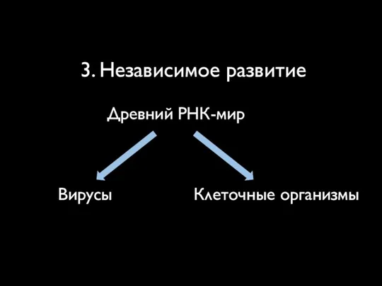 3. Независимое развитие Древний РНК-мир Вирусы Клеточные организмы