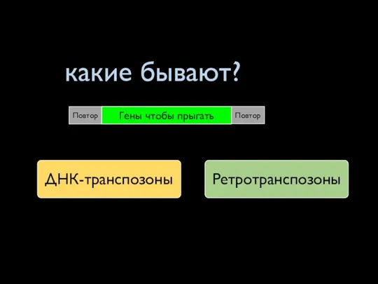 какие бывают? Гены чтобы прыгать Гены чтобы прыгать