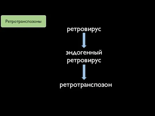 ретровирус эндогенный ретровирус ретротранспозон