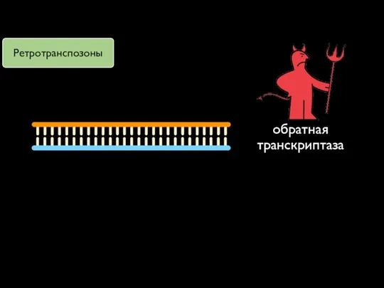 обратная транскриптаза