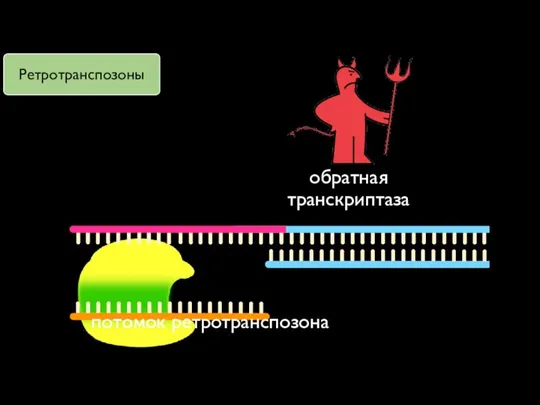 обратная транскриптаза потомок ретротранспозона