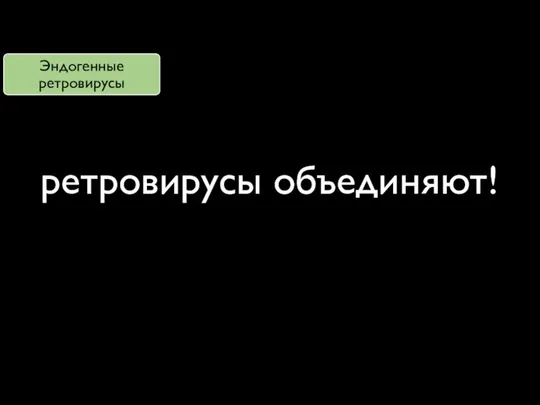 ретровирусы объединяют!