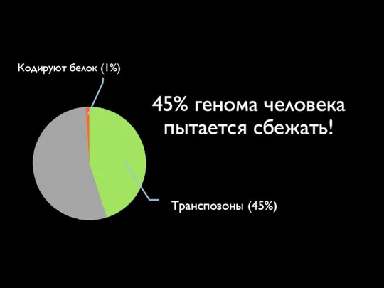 45% генома человека пытается сбежать! Транспозоны (45%) Кодируют белок (1%)