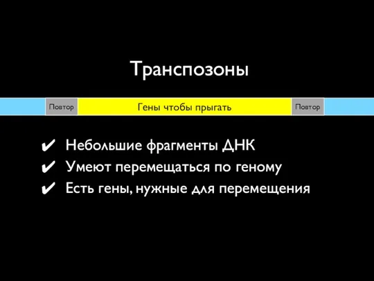 Транспозоны Повтор Повтор Гены чтобы прыгать Небольшие фрагменты ДНК Умеют перемещаться по