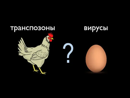 транспозоны вирусы ?