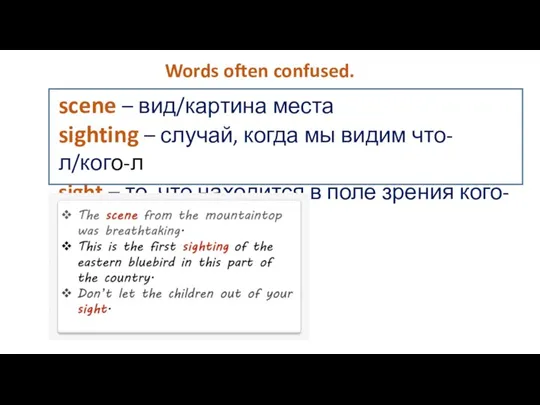 Words often confused. scene – вид/картина места sighting – случай, когда мы