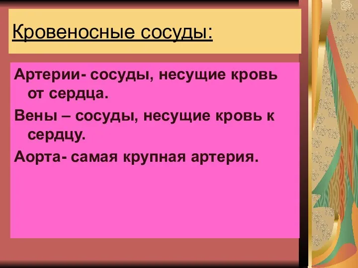 Кровеносные сосуды: Артерии- сосуды, несущие кровь от сердца. Вены – сосуды, несущие