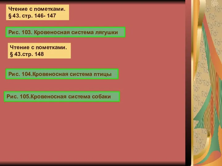 Чтение с пометками. § 43. стр. 146- 147 Рис. 103. Кровеносная система