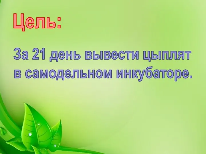 Цель: За 21 день вывести цыплят в самодельном инкубаторе.