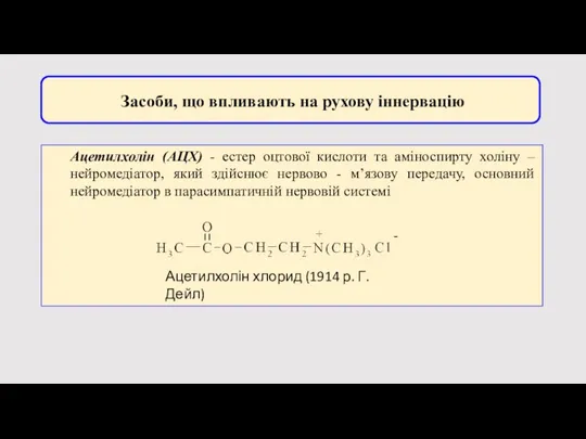 Засоби, що впливають на рухову іннервацію Ацетилхолін (АЦХ) - естер оцтової кислоти