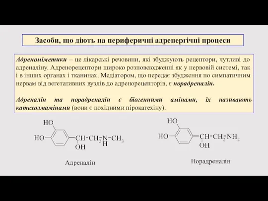 Засоби, що діють на периферичні адренергічні процеси Адреноміметики – це лікарські речовини,