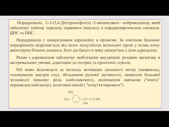 Норадреналін, L-1-(3,4-Дігідроксіфеніл) -2-аміноетанол - нейромедіатор, який забезпечує хімічну передачу нервового імпульсу в