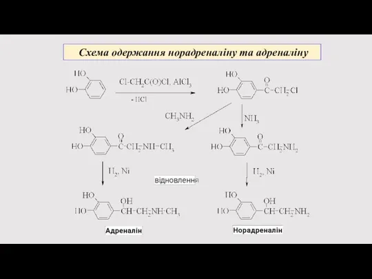 Схема одержання норадреналіну та адреналіну