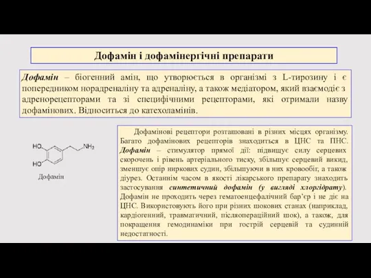 Дофамін і дофамінергічні препарати Дофамін – біогенний амін, що утворюється в організмі