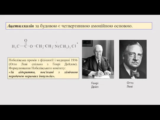 Ацетилхолін за будовою є четвертинною амонійною основою. Отто Леві Нобелівська премія з