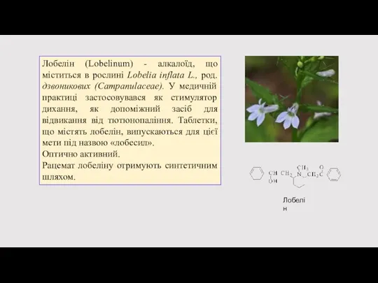 Лобелін Лобелін (Lobelinum) - алкалоїд, що міститься в рослині Lobelia inflata L.,