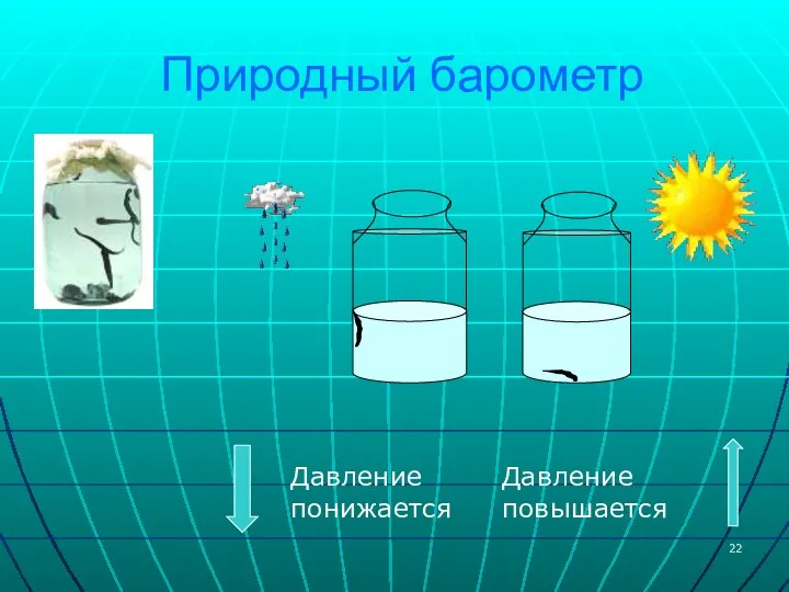 Природный барометр Давление понижается Давление повышается